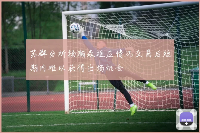 苏群分析杨瀚森适应情况交易后短期内难以获得出场机会
